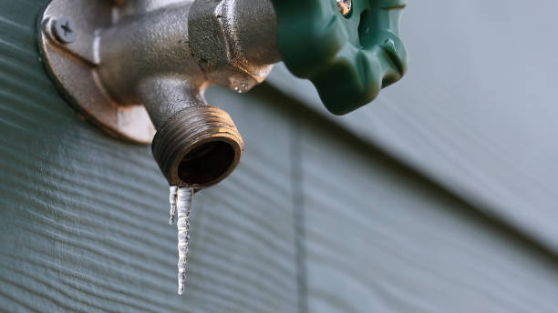 Best Shower Repair Services  in Ben Avon, PA